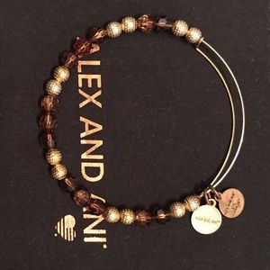 ✨Alex and Ani ✨ Brown Bangle ✨
